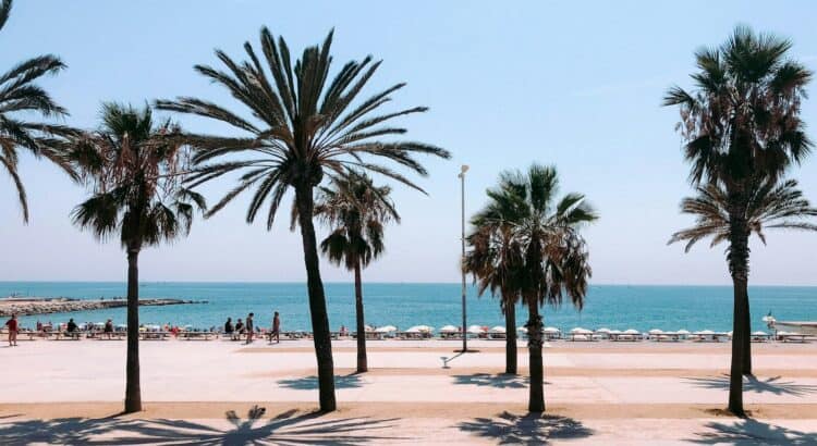Experiencias en el mar: cómo planificar un día diferente navegando por Barcelona